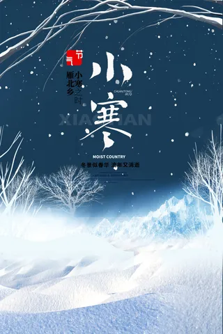 中国传统冬天小寒祝福24二十四节气节日宣传活动海报