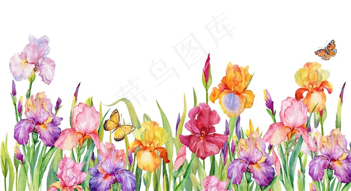 手绘多彩花朵边框背景高清图片