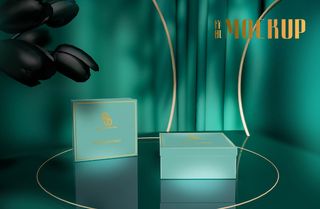 包装智能贴图样机VI效果PSD素材