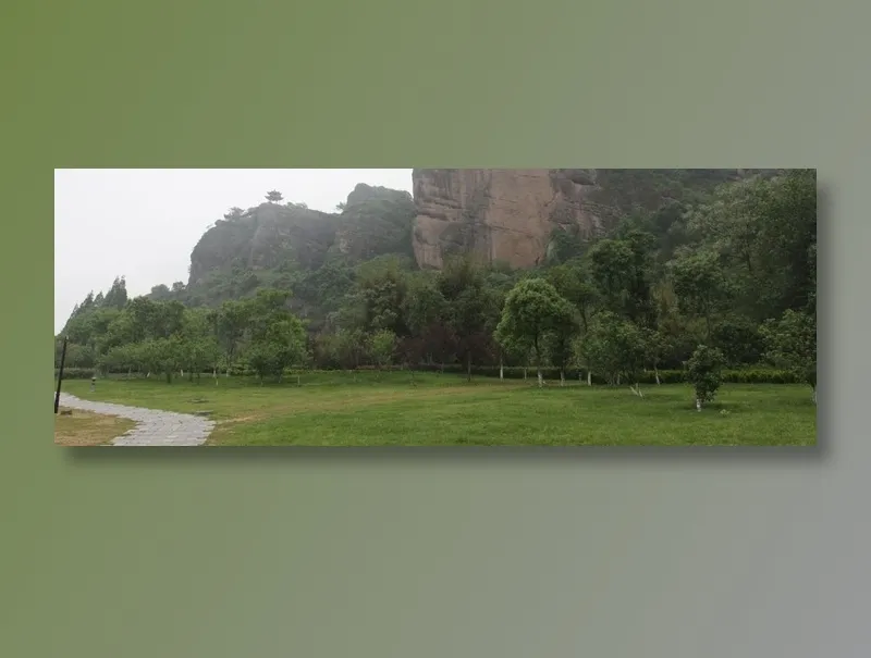石峰下草坪上的树林