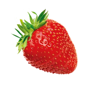 素材草莓水果