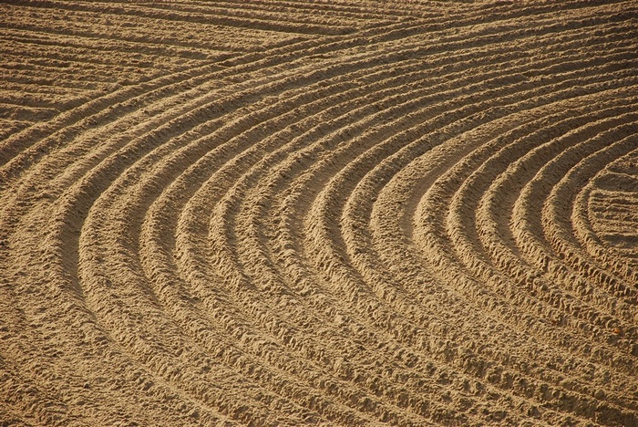 荒漠沙漠景色图片