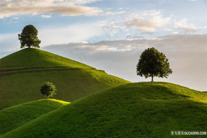 唯美绿色山坡