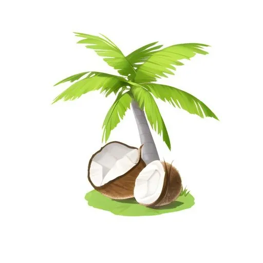 椰树棕榈树免抠(2048x2048)