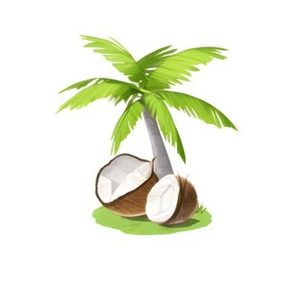 椰树棕榈树免抠