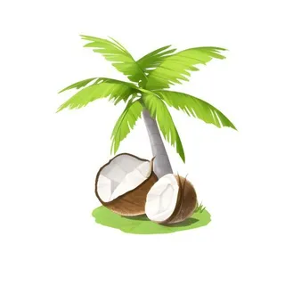 椰树棕榈树免抠