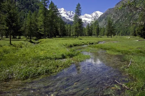 冬天自然背景风景 冬天自然背景风景