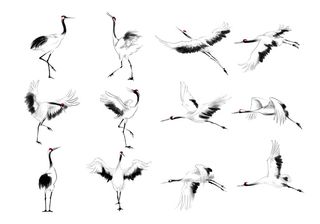 中国风中式水墨仙鹤