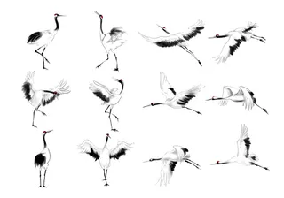 中国风中式水墨仙鹤