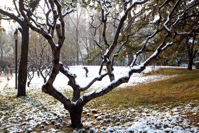 落雪的公园