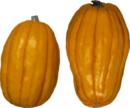 南瓜 PNG免抠(1868x1560)