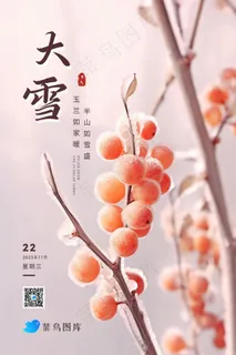 大雪温馨冰枝橙色果子节气海报 大雪温馨冰枝橙色果子节气海报