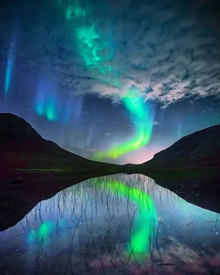 绿色极光壁纸图片
