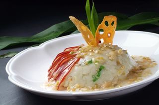 XCXC0891豆沙靓香肘