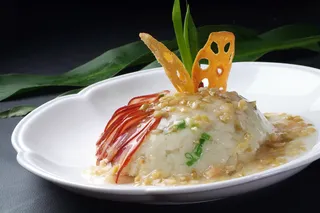 XCXC0891豆沙靓香肘