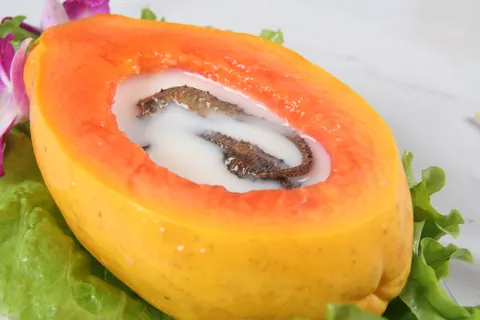 23木瓜炖海马 定州江苏