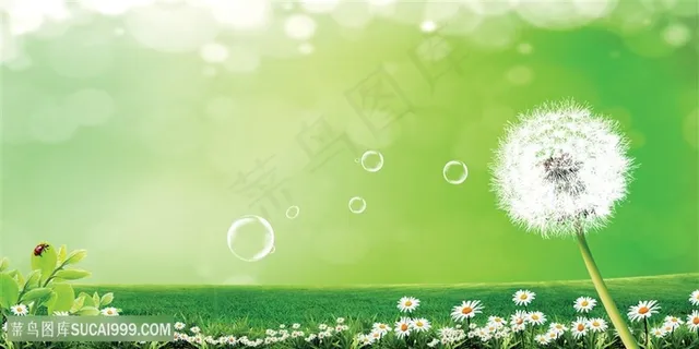 绿色背景蒲公英背景个性背景图