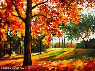 树林枫叶树唯美风景画插画