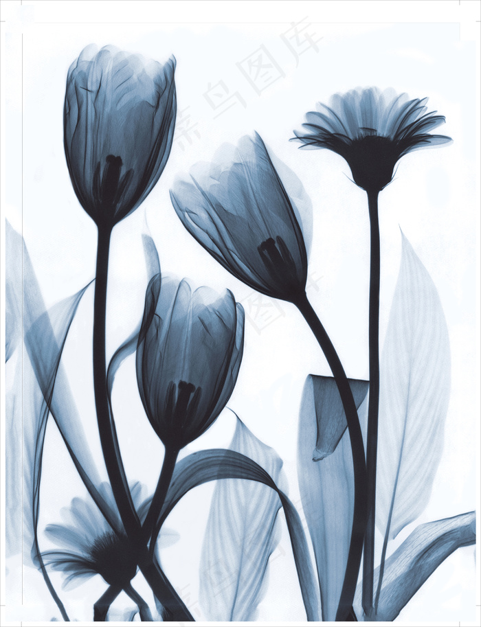 装饰画|客厅|海报画|电表箱装饰画|挂画