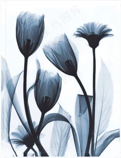装饰画|客厅|海报画|电表箱装饰画|挂画 装饰画|客厅|海报画|电表箱装饰画|挂画
