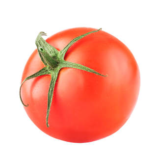 西红柿超市商品白底图免抠实物摄影png格式图片透明底