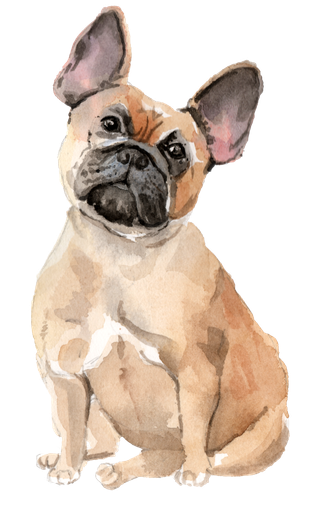 狗狗水彩画插画免扣素材可爱宠物狗