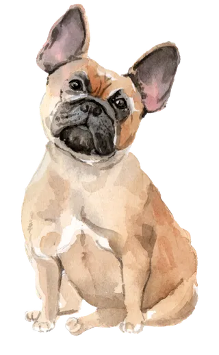 狗狗水彩画插画免扣素材可爱宠物狗