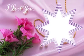 粉色鲜花花束相框图片