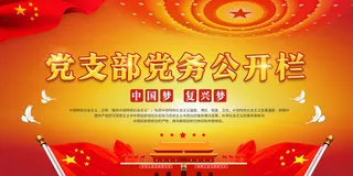 党支部务公开栏展板