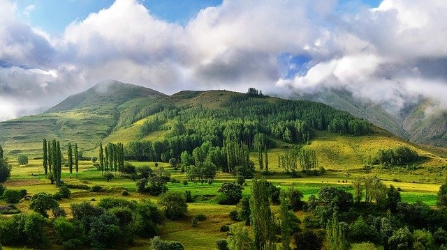 冬天白色背景风景