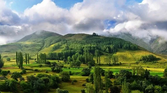 冬天白色背景风景 冬天白色背景风景