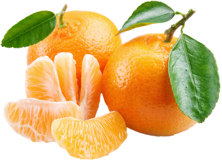 橘子免抠素材 (15)