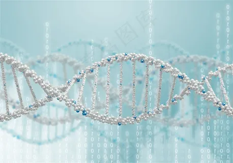 DNA和RNA结构示意高清图片