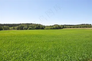 蓝天下的绿茵场