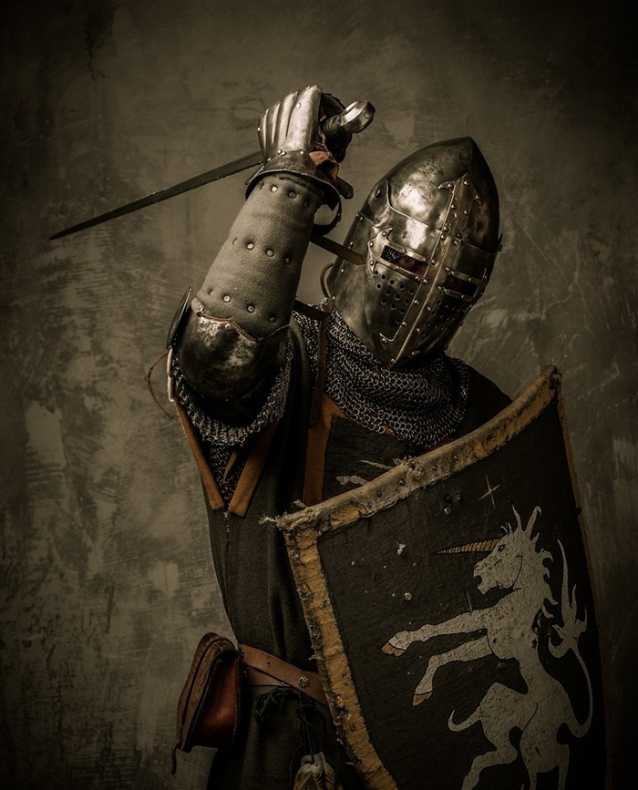 一位挥剑持盾的骑士