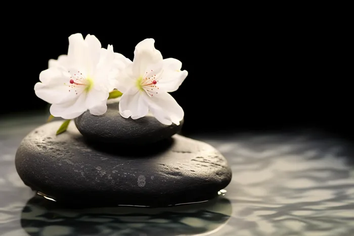 水里黑色石块上放的白色小花摄影图(4032x2688)