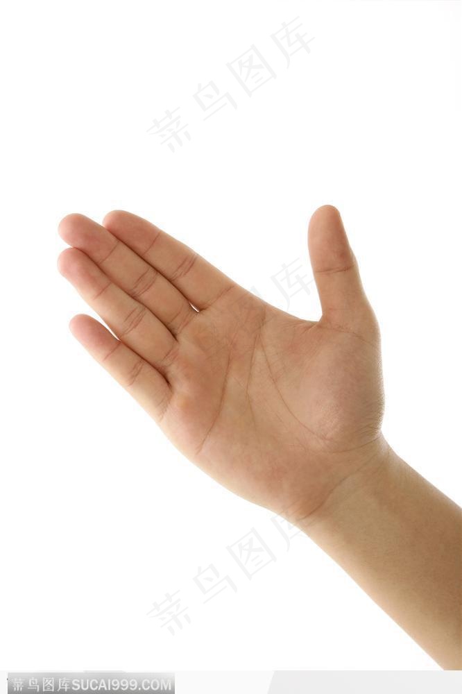 手势喻意-这边请