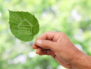 创意叶子上的房子