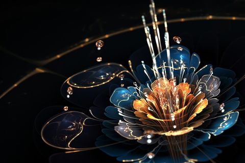 绚丽的3D立体花朵图片