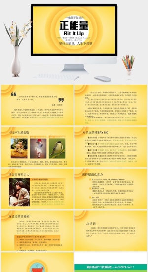 《正能量》读书笔记PPT