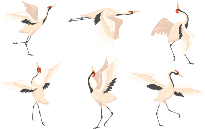 中国风古典中式国潮风手绘飞鹤图案仙鹤装饰素材PNG免抠插画元素