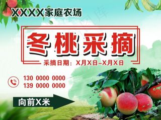 冬桃采摘展板