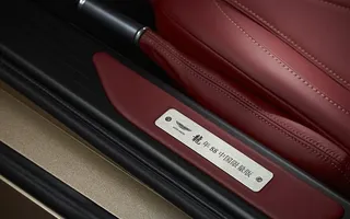 阿斯顿马丁迎宾踏板图片