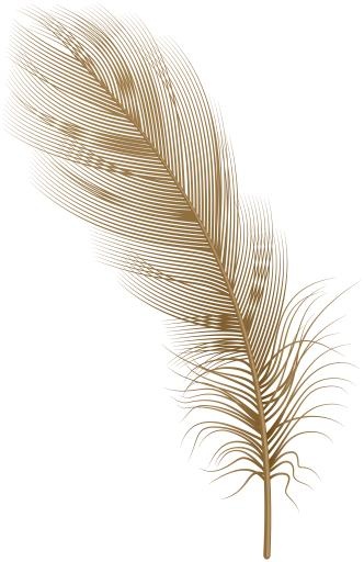 羽毛 PNG免抠(5191x8000)
