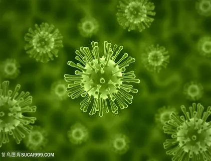 病毒细菌微生物研究高清