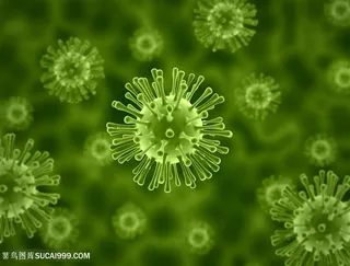 病毒细菌微生物研究高清