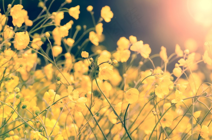 非主流逆光图片唯美