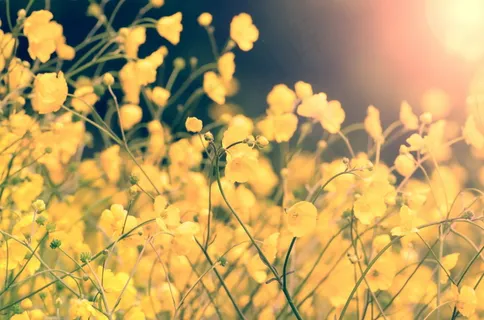 非主流逆光图片唯美 非主流逆光图片唯美