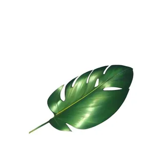 叶子树叶绿叶草丛免抠