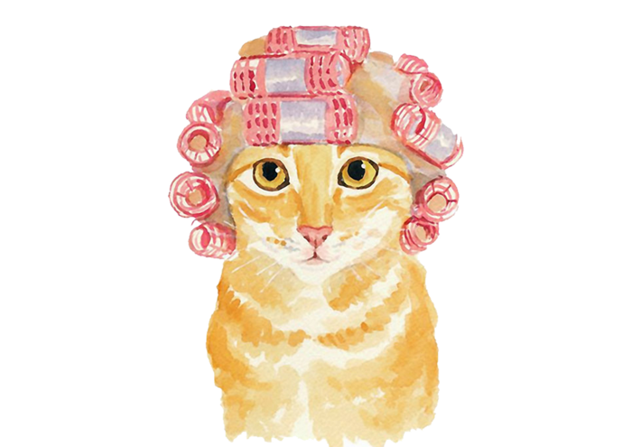 猫咪卡通包租婆